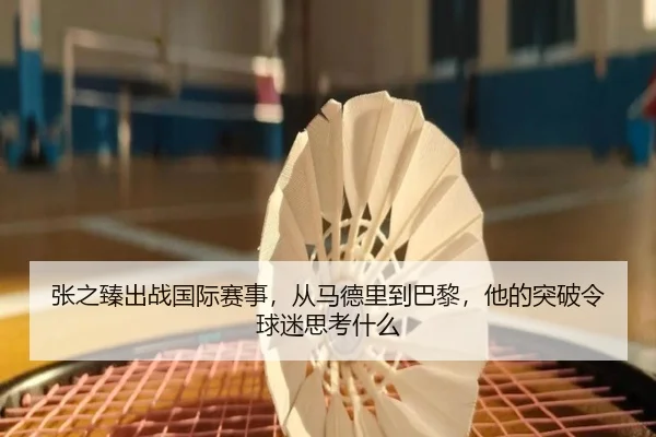 张之臻出战国际赛事，从马德里到巴黎，他的突破令球迷思考什么